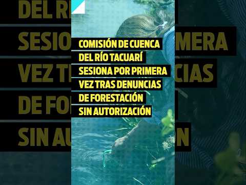 Comisión de Cuenca del Tacuarí tuvo su primera sesión tras denuncias de forestación sin autorización