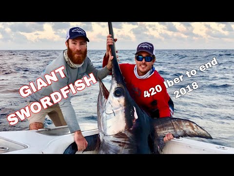 GIANT swordfish to end 2018!