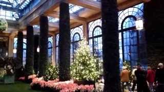 preview picture of video 'Longwood Gardens Christmas 2013 Inside Part 1'