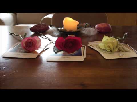 Wochenorakel 31. Oktober - 6. November 2016