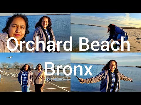 আমেরিকার Orchard Beach দেখলাম পরিবারের সাথে#dailyvlog
