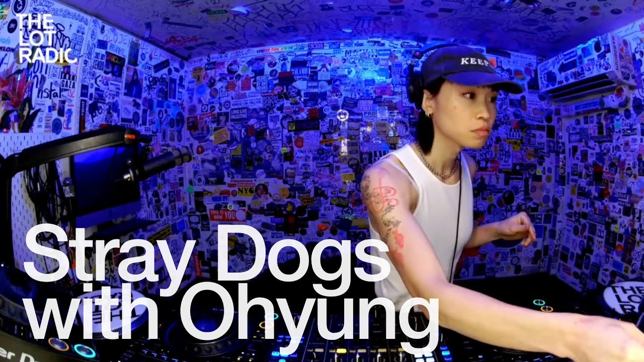 Stray Dogs With Ohyung - Stray Dogs with Ohyung @TheLotRadio 12-02-2024