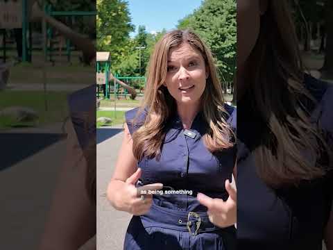 Michigan Democratic voters explain their vote in Senate primary