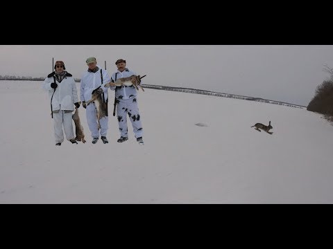 Охота на зайца. Удачные выстрелы - часть вторая. Hunting for hares