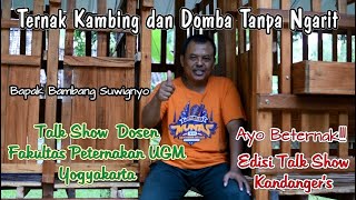 Download lagu Ternak Kambing Tanpa Ngarit Talk Show Dosen Faklultas Peternakan UGM Bapak Bambang Suwignyo mp3