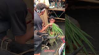 Download lagu BANTENGAN MBEROT 👹👹 #shorts #jaranan  #bantengan mp3