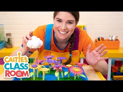 Caitie's Classroom Live  - Rain!