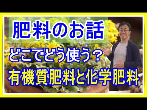 どの自家製天然肥料を選ぶべきですか?なぜ高価な化学物質を禁止するのですか?  庭園