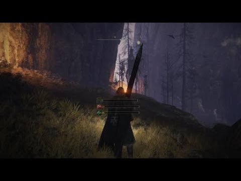 Useless Elden Ring Summon!