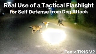 Fenix TK16 V2 | Real use of a tactical flashlight for self defense from dog attacks at night