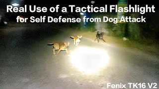 Fenix TK16 V2 | Real use of a tactical flashlight for self defense from dog attacks at night