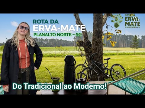 🌿 ROTA DA ERVA MATE em SC: Do Tradicional ao Moderno! Fazendas, Produção e Sabor Caseiro