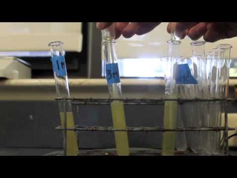 homemade breathalyzers