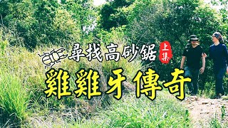 [贈送] 夏天就是要養甲蟲(23)高砂鋸鍬形蟲