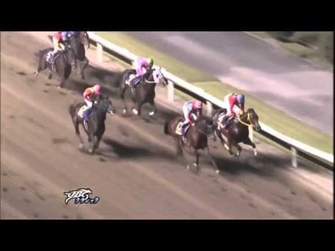 2012 JBCクラシック（ワンダーアキュート） HD