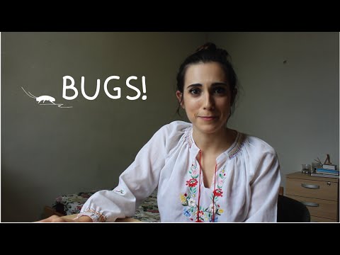 Weekly Spain Spanish Words with Rosa - Bugs!
