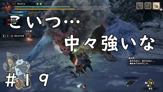 【MHRise】モンスターの癖に武器使うんかコイツゥ！#１９【ガンランス】