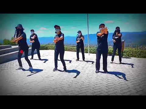 Coreografia Fju Viçosa (O céu e o meu lugar e hospício) Cover Ton carfi #instagran #Pr_DiegoBrito