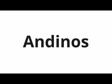 How to pronounce Andinos