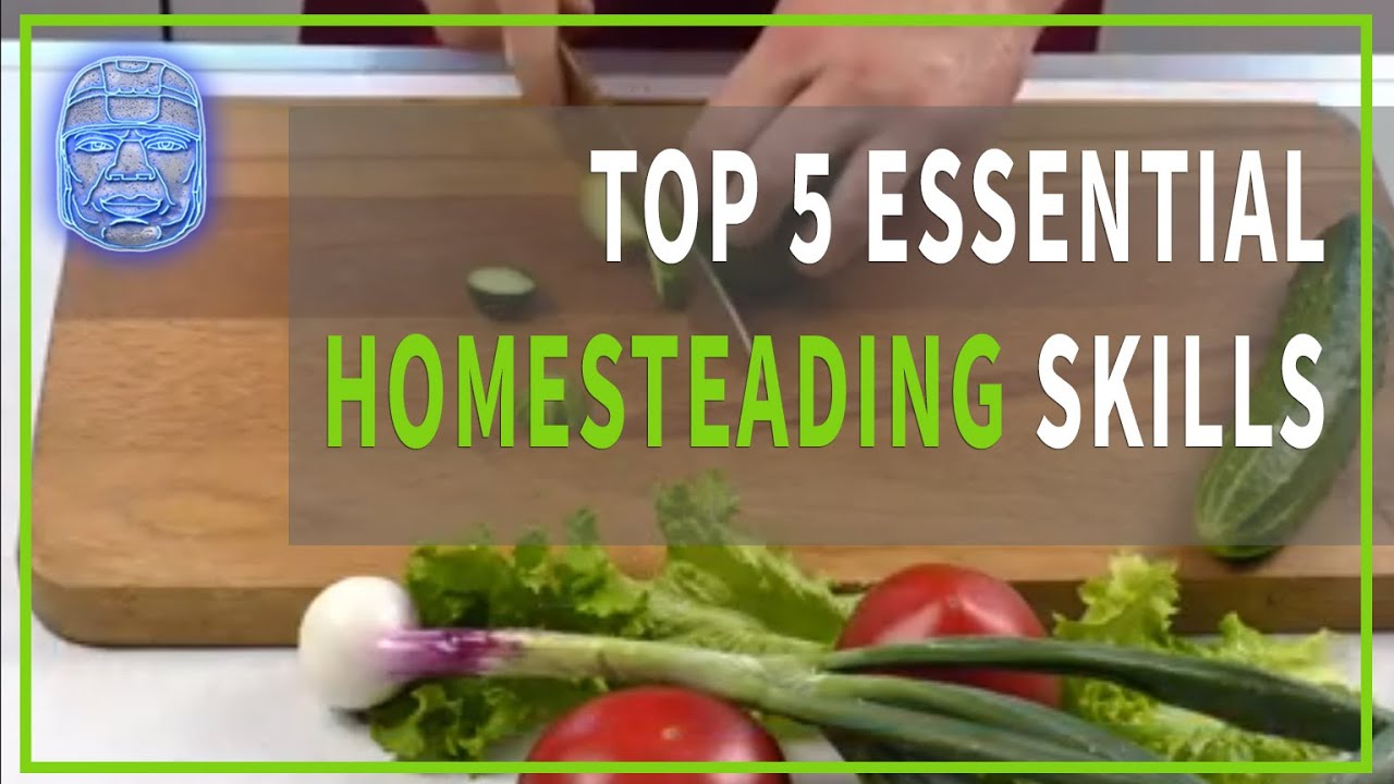 TOP 5 Essential Family Homesteading Skills You Need to Know to be Successful