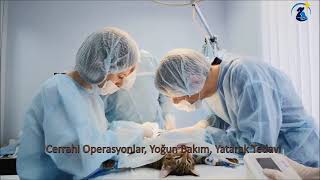 Kutup Veteriner Kliniği
