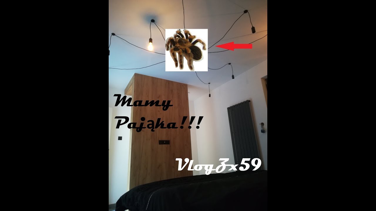 Żyrandol pająk S10E10