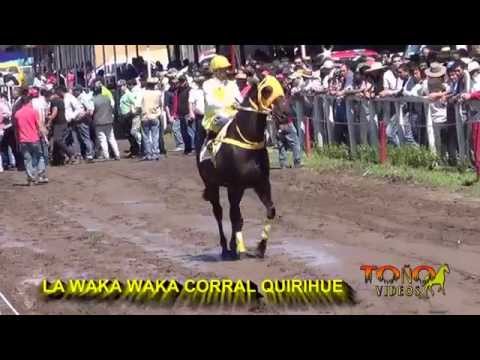 TALIBANA -WAKA WAKA - EL DURASNO - LUCHO PATO