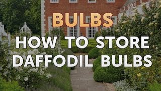 How to Store Daffodil Bulbs