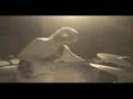 Primus - Sily Putty