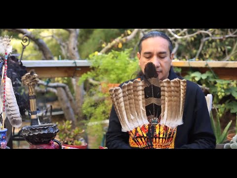 Bird Medicine and the Art of Feathers with Ernesto Olmos