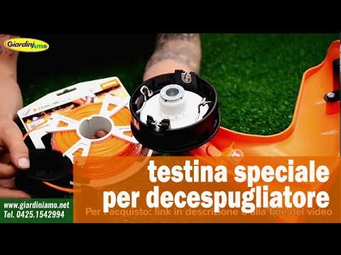 Miniatura Video