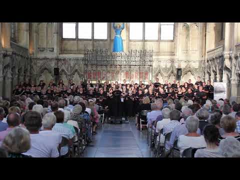 Sing! Choirs - Tell Me Its Not True