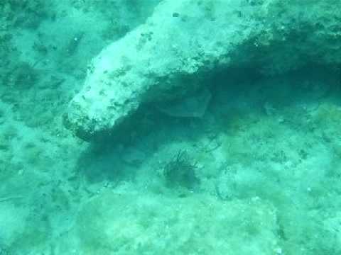 Peljesac SNORKELMOVIE 3: Fragments of ancient ceramic at Orebic coast. By Apartments-HELENA, Orebic.