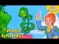 Spring Has Sprung Gets Planted Full Episode The Magic School Bus