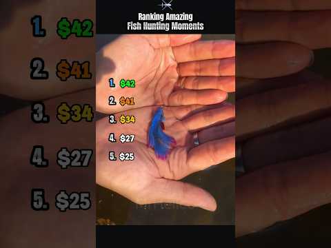 Ranking Amazing Fish Hunting Moments