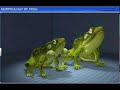 CBSE Class 11 Biology || Morphology of Frog || By Shiksha House
