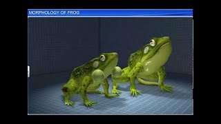 CBSE Class 11 Biology || Morphology of Frog || By Shiksha House