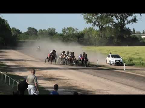 Trka "Jimmy-Commerce" 09.06.2019 Cash Royal - Dejan Katanić