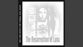 Temptation Serenade [Remix]