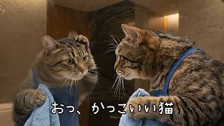 【単発バイト猫のハル】ハル、ビル清掃のバイト! 🧼【Part-Time Job Cat Haru】Haru Takes a Building Cleaning Job! 🏢