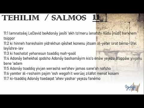 Salmos Tehilim 11