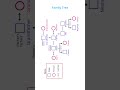 Understanding the Family Tree | Simple Explanation 👨‍👩‍👧‍👦 #FamilyTree  #FamilyRelationships
