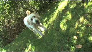 &quot;Happy&quot;,  The Official Video,  Catie Curtis