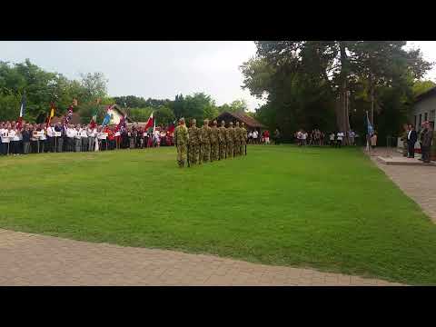 MLAIC European championchips Sarlopuszta Hungary 2019