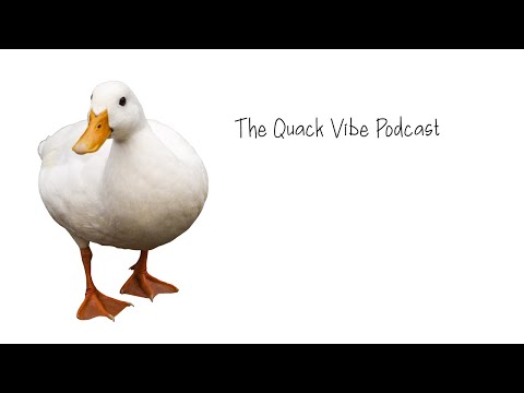 9-Volt Interview | Random Topics w/Seira666 (The Quack Vibe Podcast)