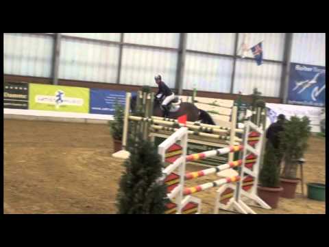 7 year old mare, sired by Cristo x Carpaccio