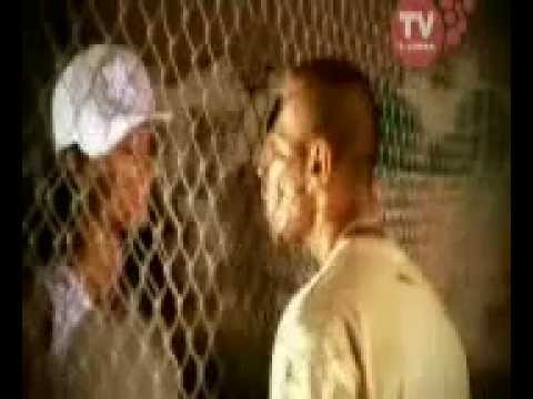 Anda Adam   Ce Ti As Face Premium