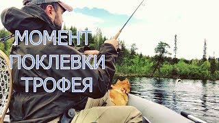Где ловить кумжу на кольском полуострове