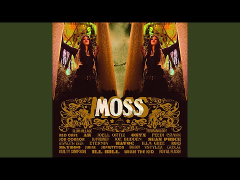 Nobody Move (feat. Onyx & Havoc)