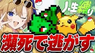 【 ポケモン 】人生縛りでポケモンマスター目指す【腐男子】